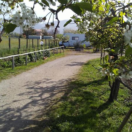 B&B Il Tiglio Padula Εξωτερικό φωτογραφία