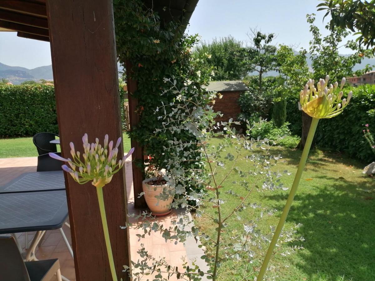 B&B Il Tiglio Padula Εξωτερικό φωτογραφία