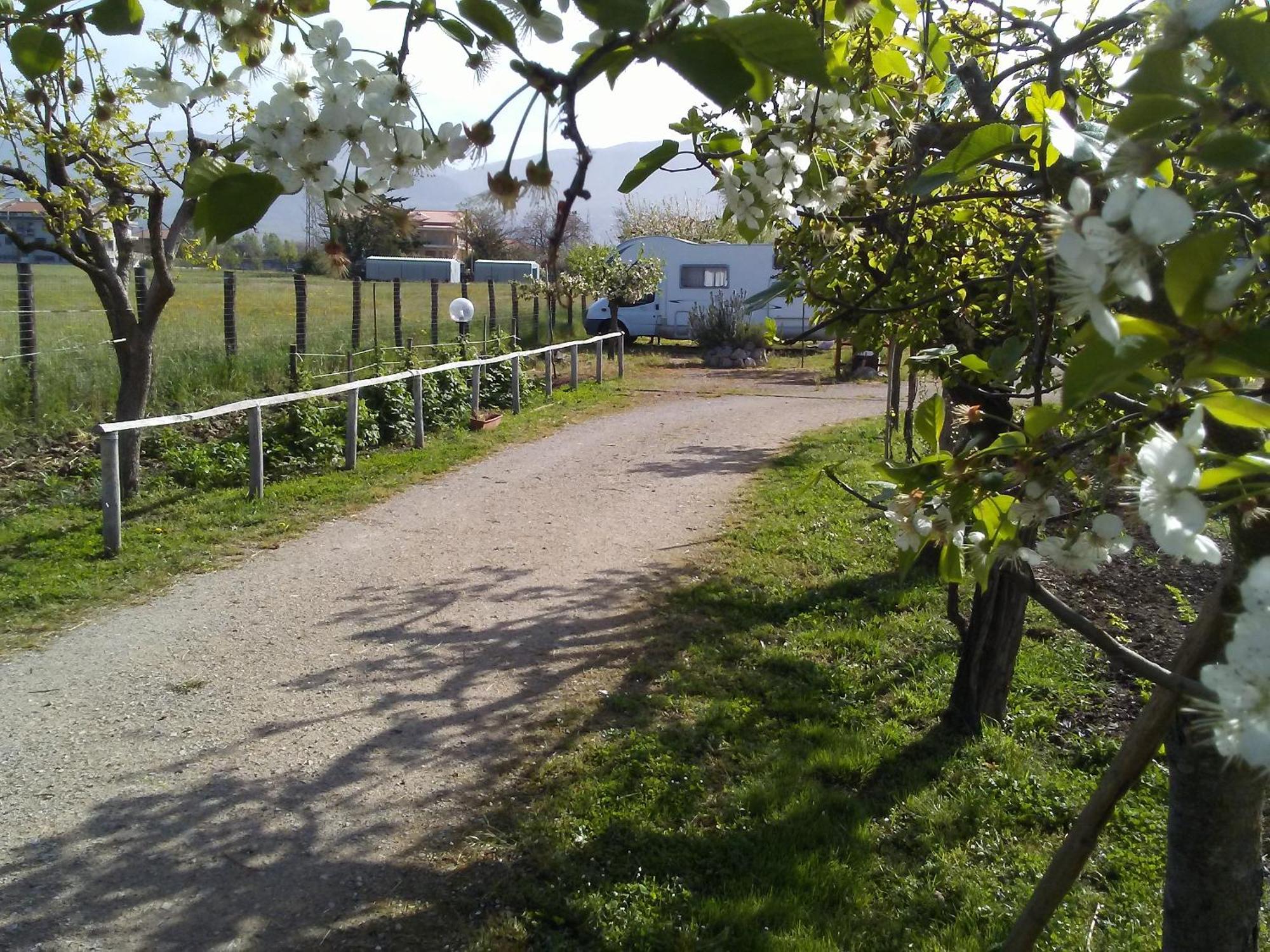 B&B Il Tiglio Padula Εξωτερικό φωτογραφία