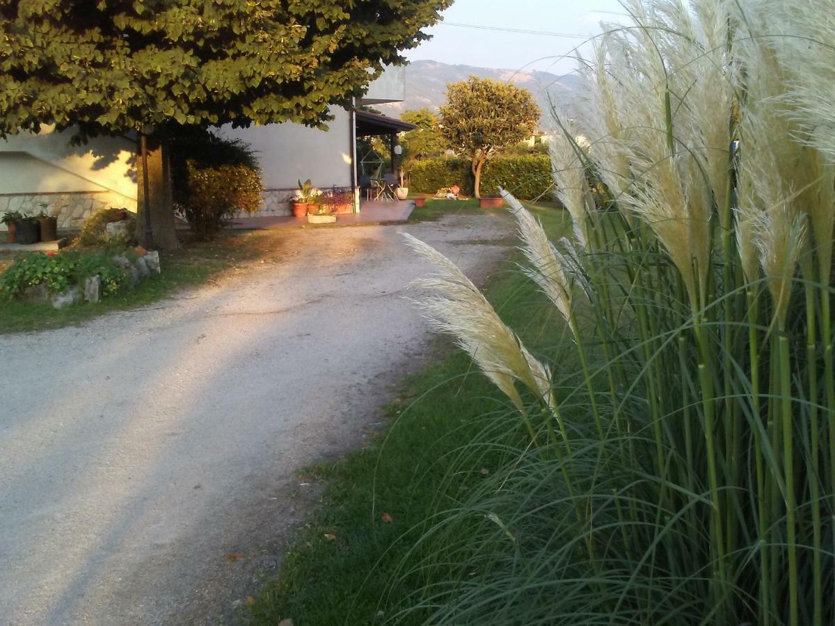 B&B Il Tiglio Padula Εξωτερικό φωτογραφία